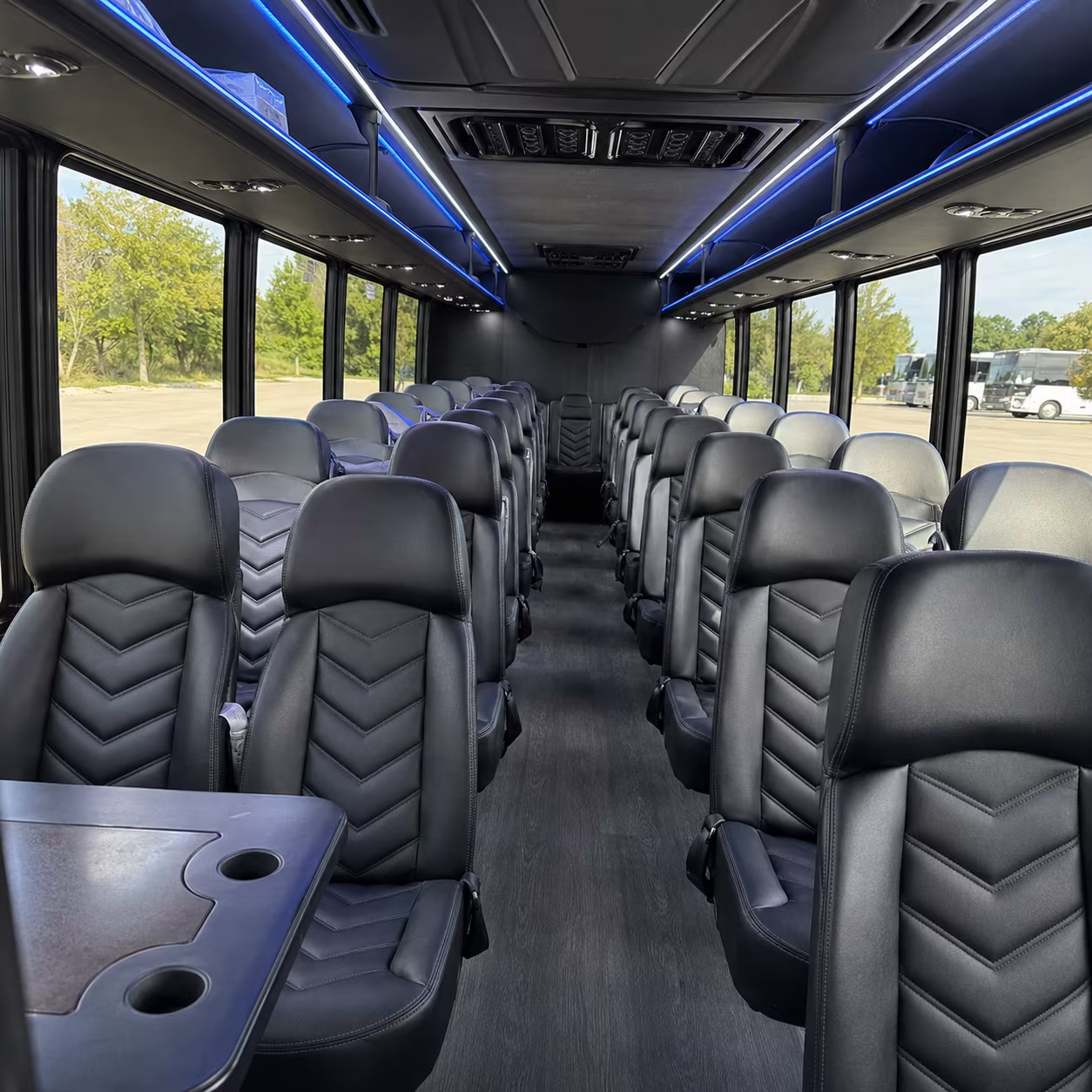 minibuses and charter buses for roger williams park zoo field trips